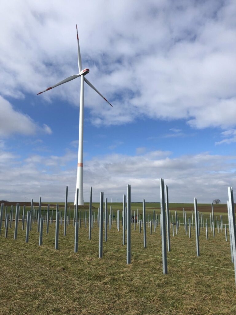 Baubeginn im Solar-Wind-Hybridpark